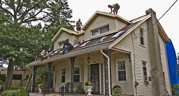 Best Tile Roofing Contractor  in Meadows Place, TX